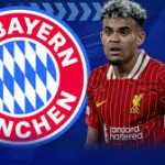 luiz diaz bayern