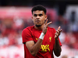 luiz diaz